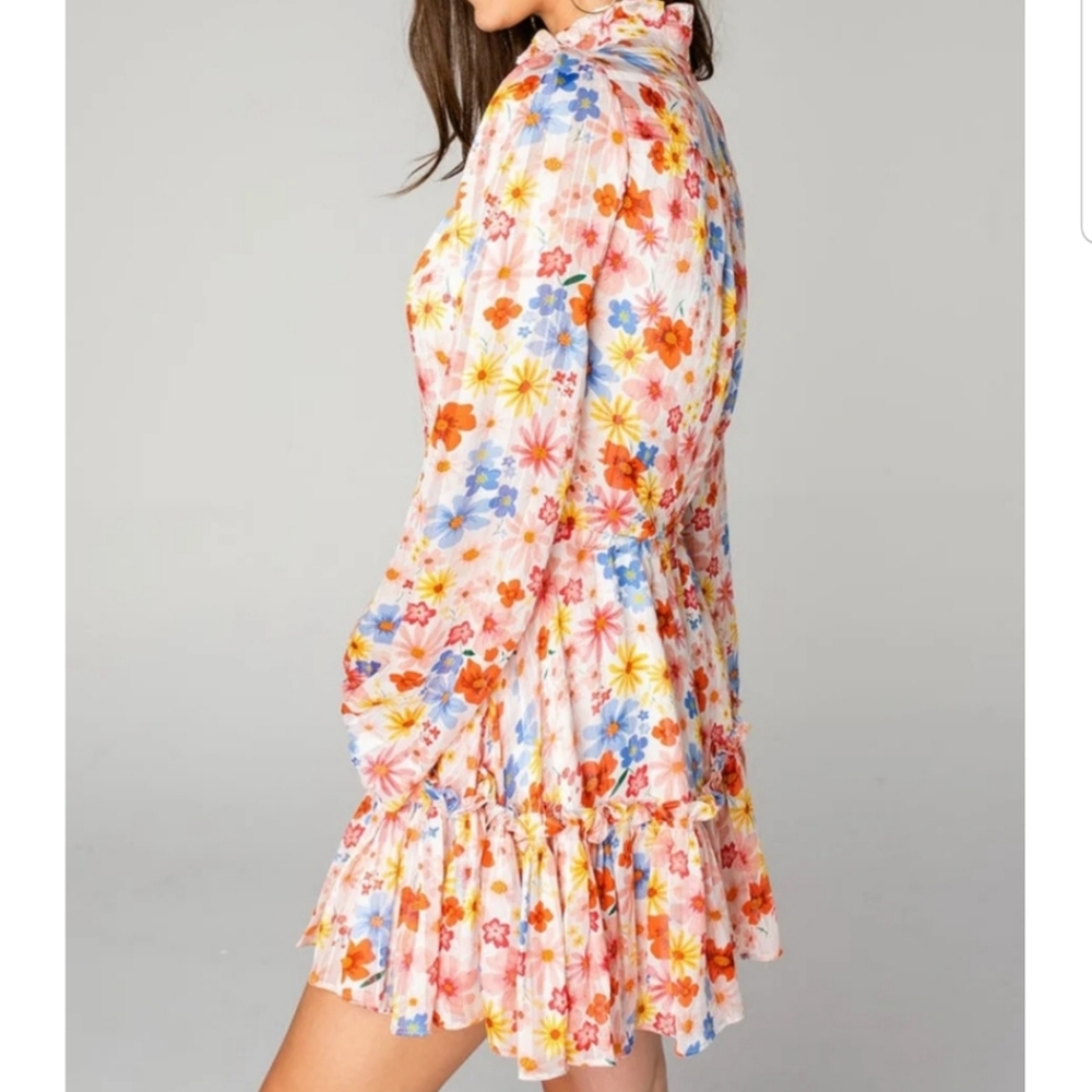 Buddy Love Grace Long Sleeve Shirt Dress Wild Flower Sixe XS - Picture 4 of 15